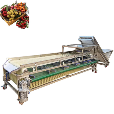 Machine de tri à trace orange multifonctionnelle pour tri du jujube de palme et de la tomate de datte