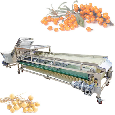 Machine de tri à trace orange multifonctionnelle pour tri du jujube de palme et de la tomate de datte