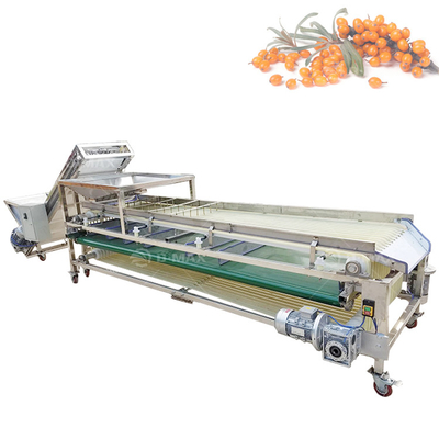 Machine de tri des fruits de passion de bonne performance pour les exigences de transformation des fruits