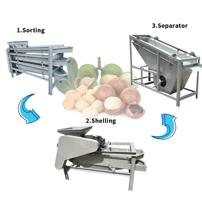 Machine à décortiquer les noix à faible consommation pour le tri des noix de pin Pistachio Noix de noyer Noix de noisette Amandes