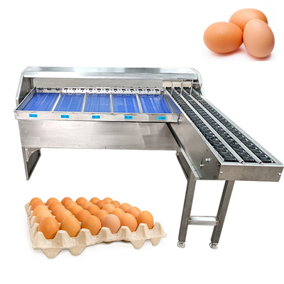 Meilleur classificateur automatique d'œufs pour un tri précis des niveaux d'œufs