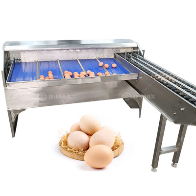 Meilleur classificateur automatique d'œufs pour un tri précis des niveaux d'œufs