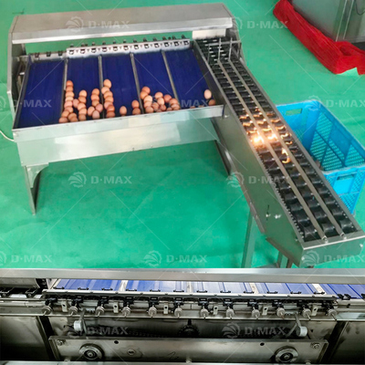 Machine de tri des œufs avec une capacité de 5400 œufs/h et un fonctionnement facile