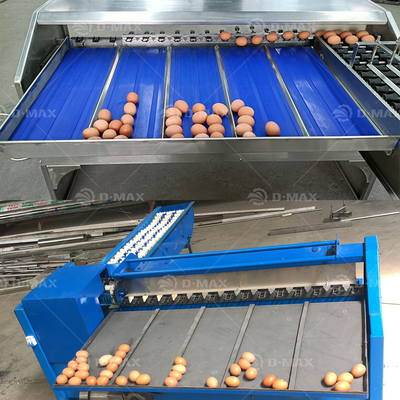 Machine de tri des œufs avec une capacité de 5400 œufs/h et un fonctionnement facile