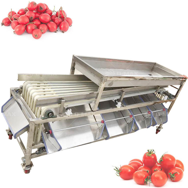 Machine de tri à trace orange multifonctionnelle pour tri du jujube de palme et de la tomate de datte