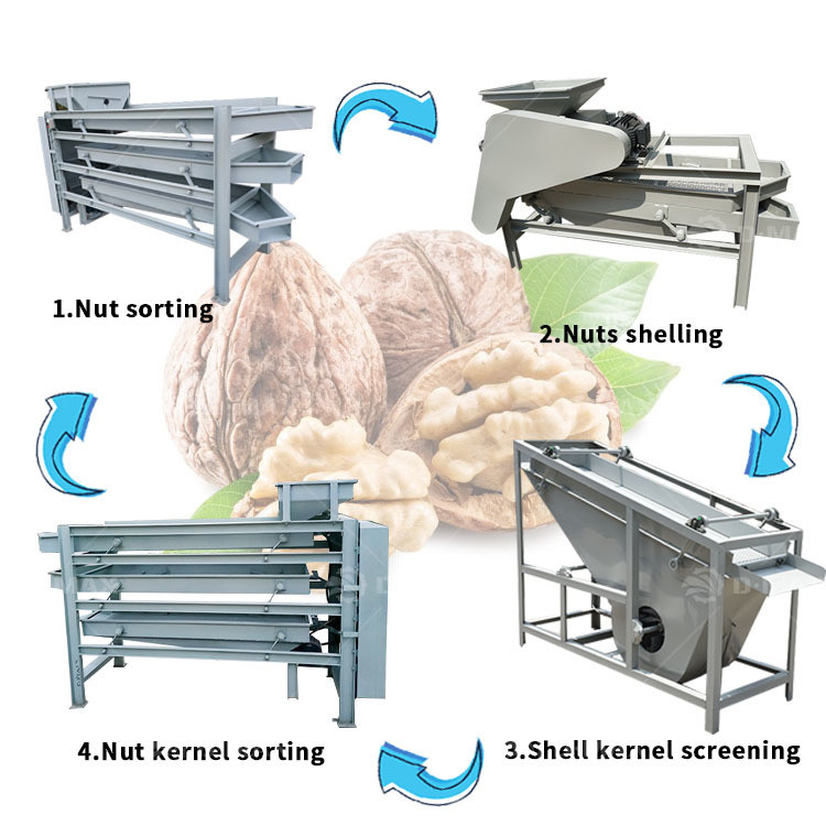 Machine de séparation des craquelins de noix de palme et de coquilles d'amande à faible perte, d'une capacité de 280 kg